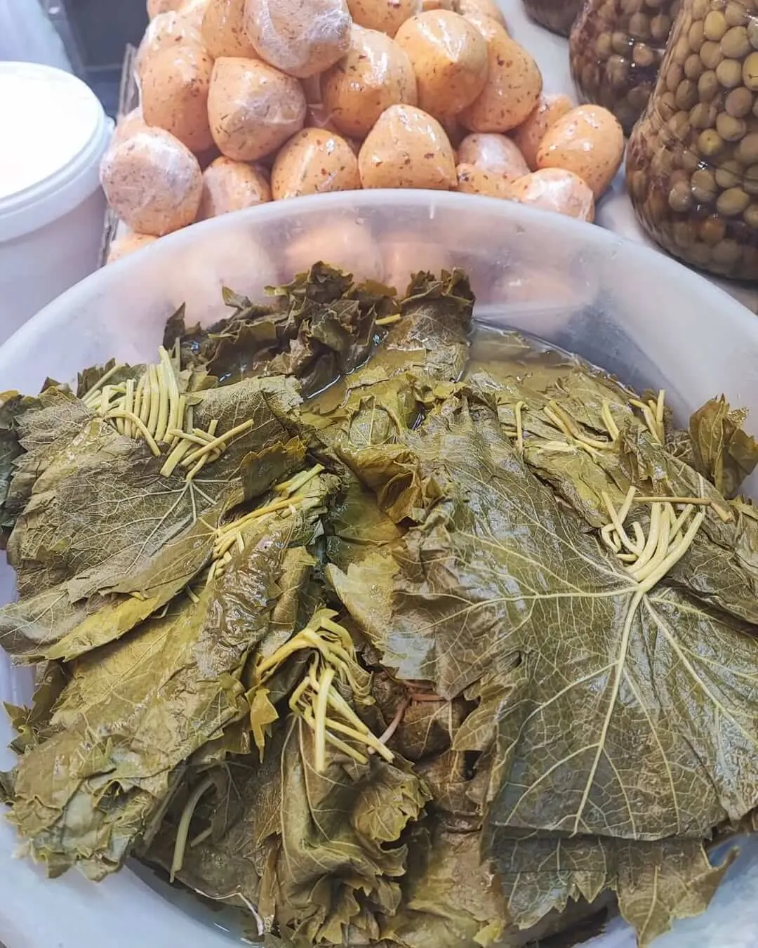 Sarmalık Asma Yaprağı